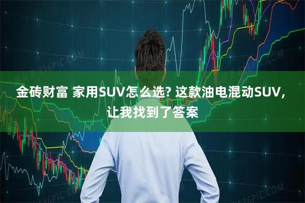 金砖财富 家用SUV怎么选? 这款油电混动SUV, 让我找到了答案